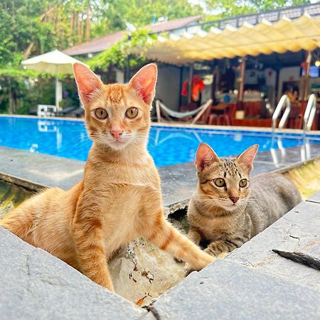 Have Fun Phu Quoc Villa Buitenkant foto