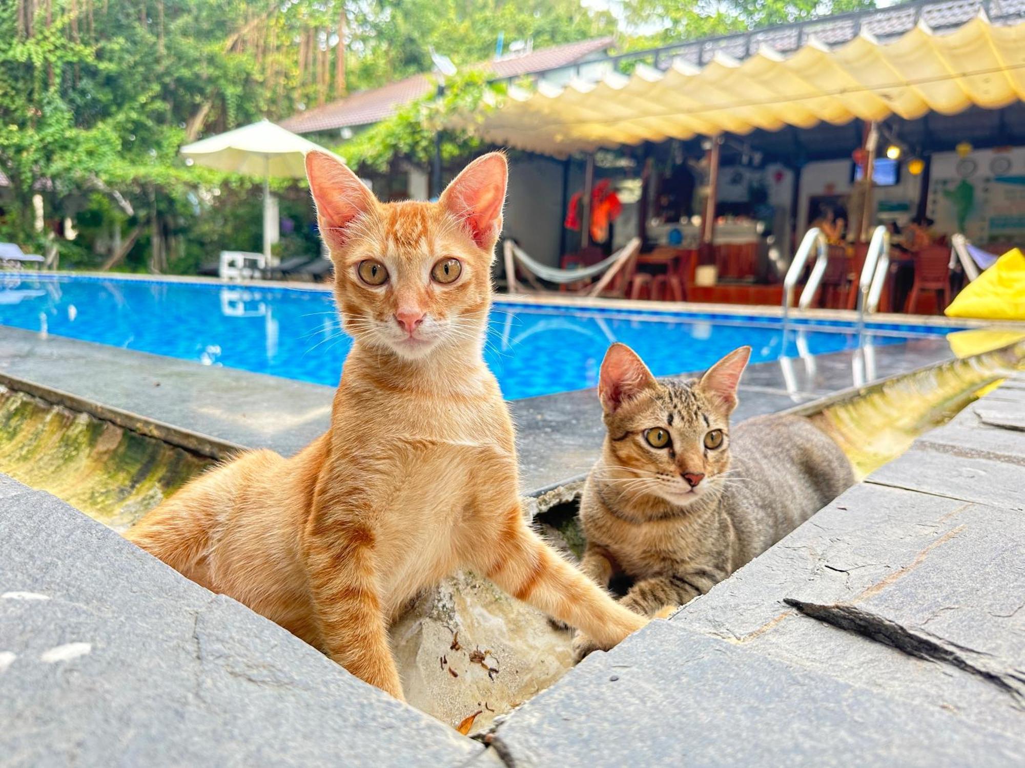 Have Fun Phu Quoc Villa Buitenkant foto